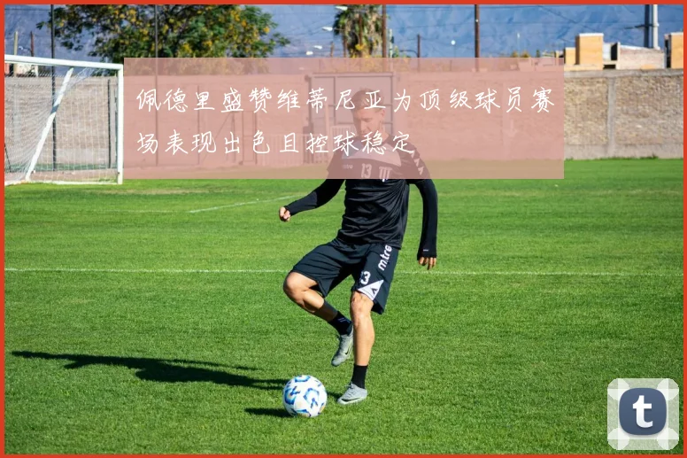 佩德里盛赞维蒂尼亚为顶级球员赛场表现出色且控球稳定